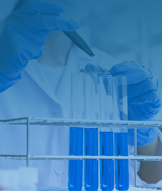 2025國(guó)產(chǎn)肥料養(yǎng)分檢測(cè)儀品牌力榜單更新 技術(shù)迭代驅(qū)動(dòng)行業(yè)升級(jí)