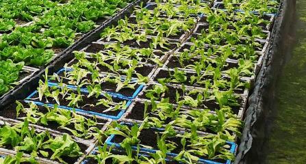 測(cè)土配方的儀器去哪里買更靠譜？