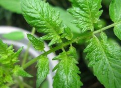 使用測土配方施肥儀這兩個好處你知道嗎？