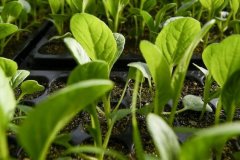 云唐肥料成分測試儀可以放心購買嗎？